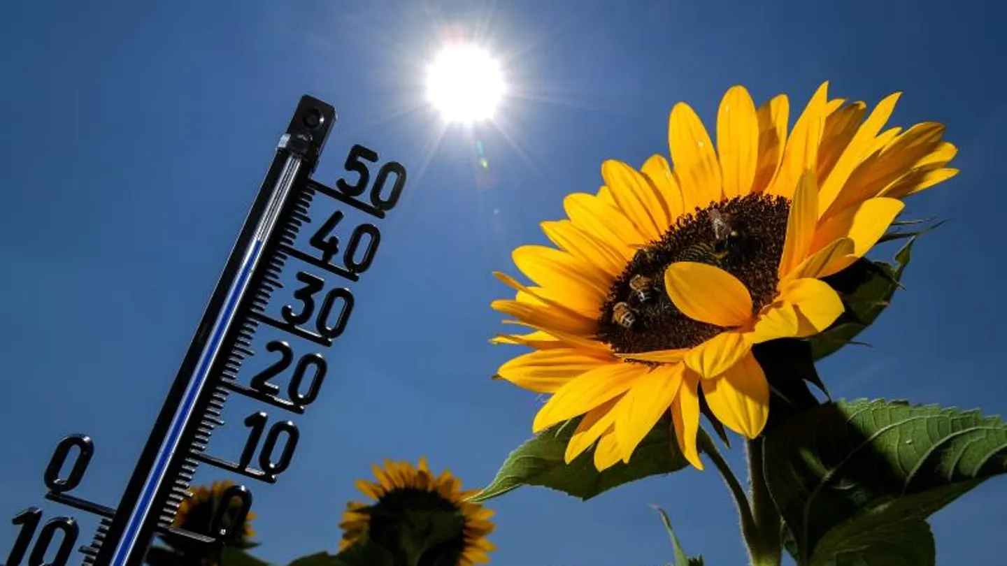 Vista de un termómetro que se eleva hasta los 39 grados Vista de un termómetro que se eleva hasta los 39 grados