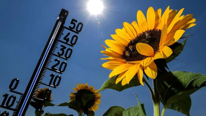 Vista de un termómetro que se eleva hasta los 39 grados