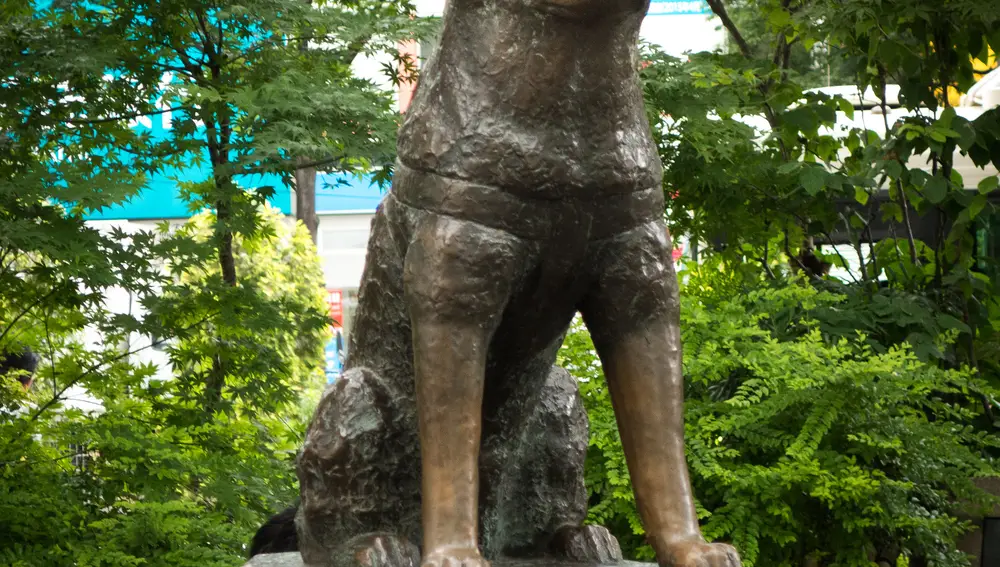 Estatua del perro Hachikö