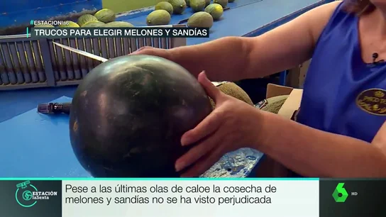 Trucos para saber si una sandía es buena Trucos para saber si una sandía es buena