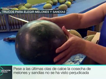 Trucos para saber si una sandía es buena Trucos para saber si una sandía es buena
