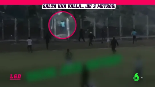 ARBITROFUGA ARBITROFUGA