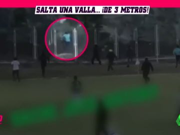 ARBITROFUGA ARBITROFUGA