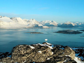 Groenlandia (Ravnefjeldet) Groenlandia (Ravnefjeldet)