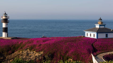 Faro Isla Pancha
