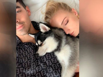 Sophie Turner y Joe Jonas con su perro Waldo Sophie Turner y Joe Jonas con su perro Waldo