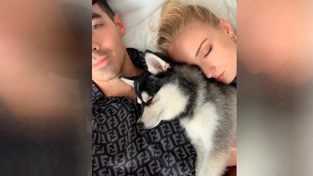 Sophie Turner y Joe Jonas con su perro Waldo.