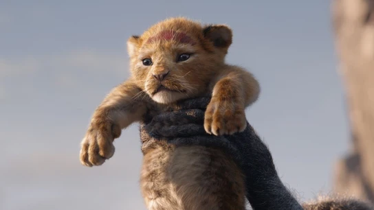 Imagen del remake de El Rey León Imagen del remake de El Rey León
