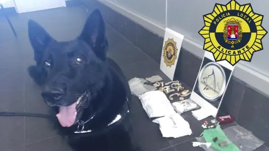 Imagen de la droga incautada a un viajero Imagen de la droga incautada a un viajero