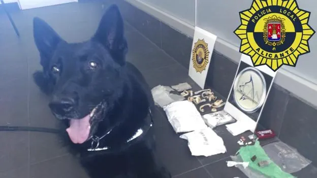 Imagen de la droga incautada a un viajero Imagen de la droga incautada a un viajero