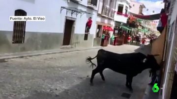 Imagen de un toro durante los encierros de El Viso