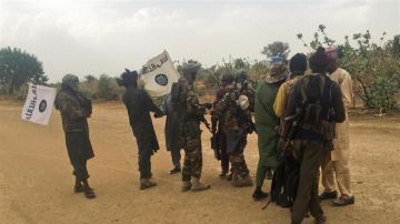 Milicianos de Boko Haram