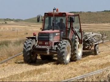 Agricultor trabajando bajo las altas temperaturas Agricultor trabajando bajo las altas temperaturas