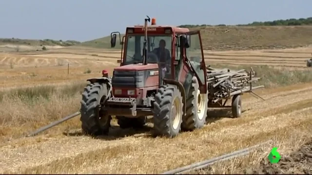 Agricultor trabajando bajo las altas temperaturas.