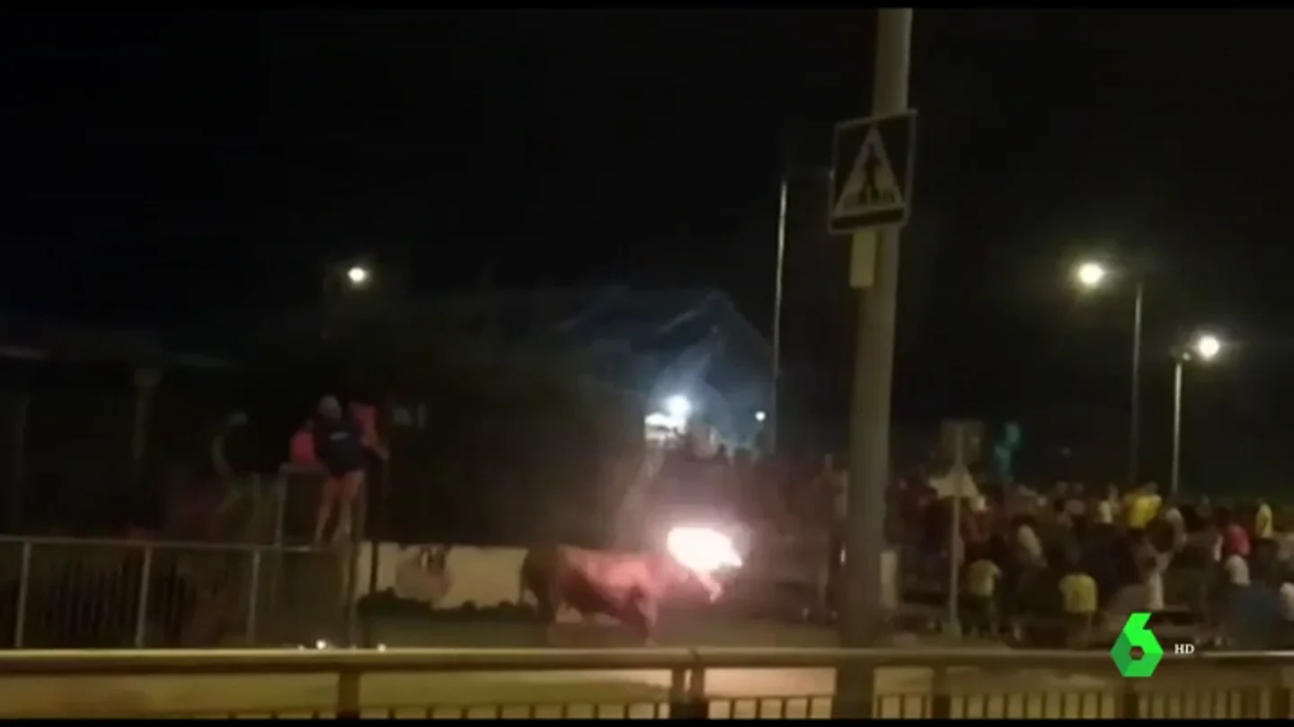 Toro embolado en Sagunto Toro embolado en Sagunto