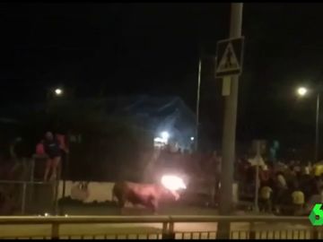 Toro embolado en Sagunto Toro embolado en Sagunto