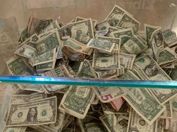 Billetes de dólar Billetes de dólar