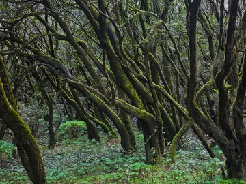 Rincones naturales Rincones naturales