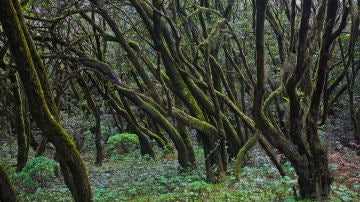 Rincones naturales