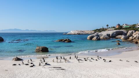 Boulders Beach