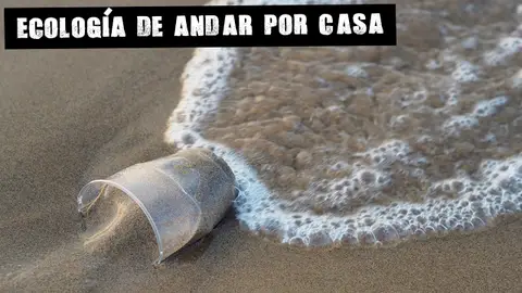Vaso de plástico en el mar Ecología de andar por casa