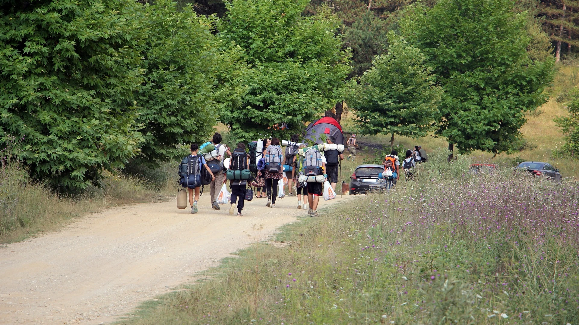 Campamentos de verano