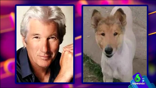 Parecidos entre los famosos y los perros Parecidos entre los famosos y los perros