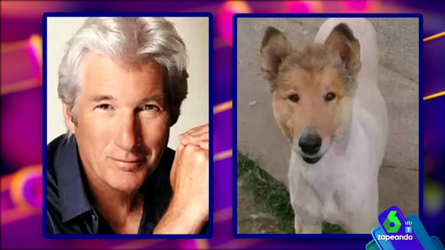 Parecidos entre los famosos y los perros Parecidos entre los famosos y los perros
