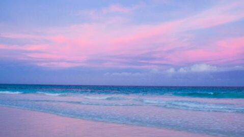 Pink Sands Beach