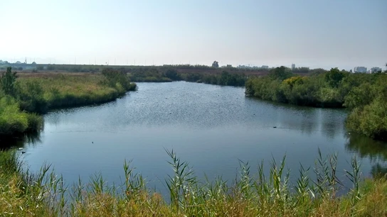 Imagen de archivo del río Guadalhorce Imagen de archivo del río Guadalhorce