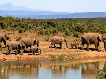 África África