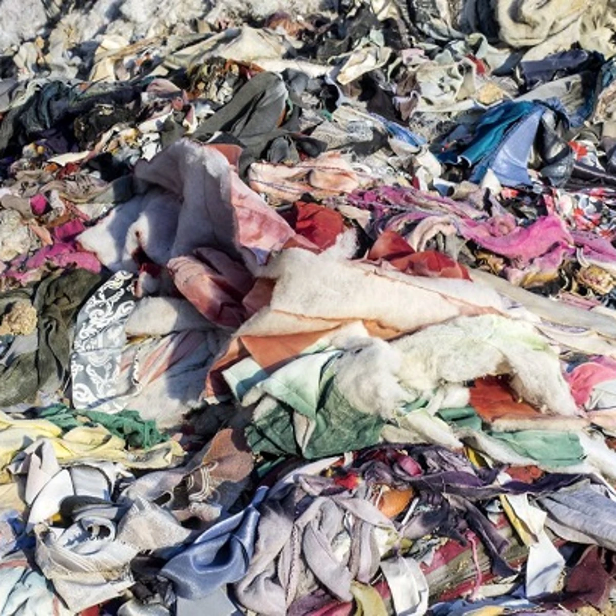 Luchar contra la 'fast-fashion', o cómo evitar que se tiren a la basura más  de  toneladas de ropa al año