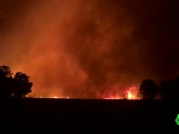 Incendio en Barchín del Hoyo, Cuenca Incendio en Barchín del Hoyo, Cuenca