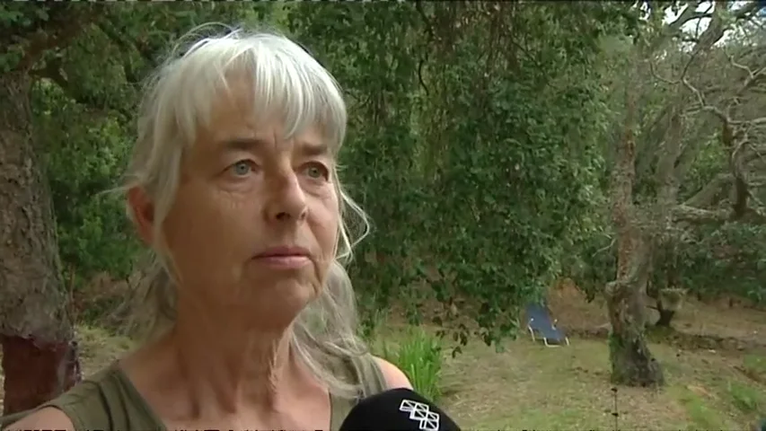 Habla la vecina que socorrió a la mujer secuestrada por su expareja: "Le había clavado un cuchillo debajo del pecho" Habla la vecina que socorrió a la mujer secuestrada por su expareja: "Le había clavado un cuchillo debajo del pecho"