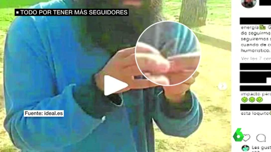 lagartija lagartija
