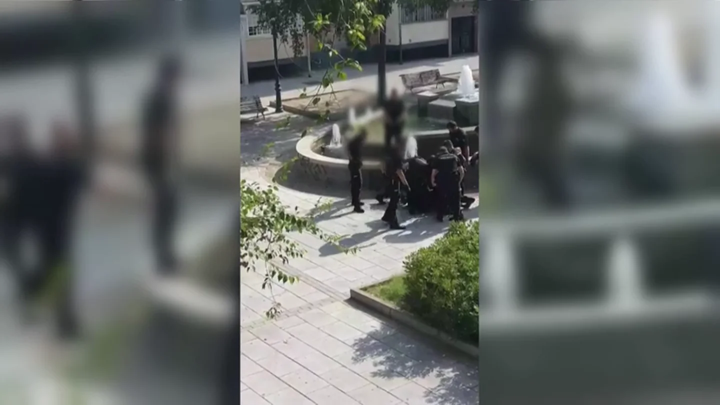 La detención de un hombre que golpeó a dos agentes La detención de un hombre que golpeó a dos agentes