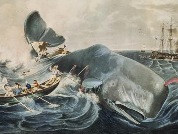 Cuadro del siglo XIX que muestra la caza de cachalotes Cuadro del siglo XIX que muestra la caza de cachalotes