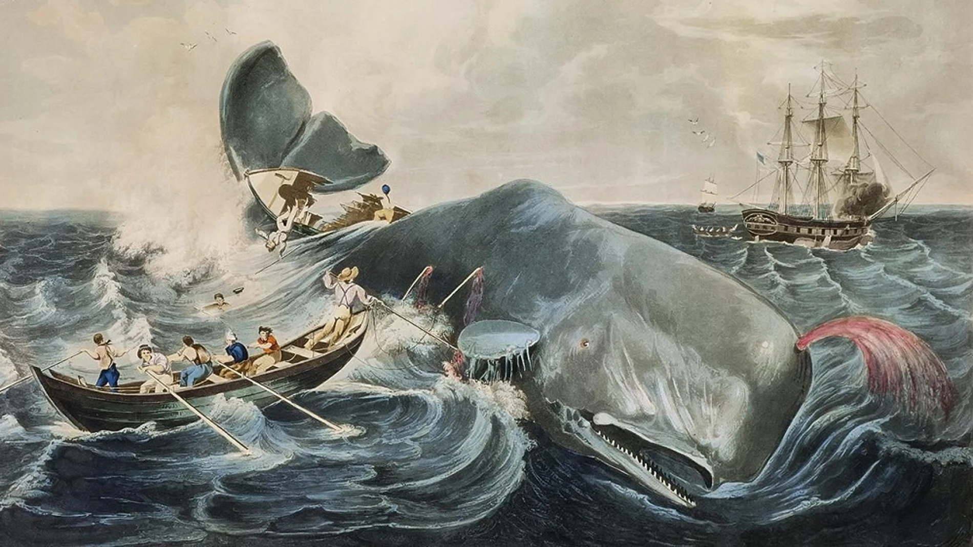 Cuadro del siglo XIX que muestra la caza de cachalotes