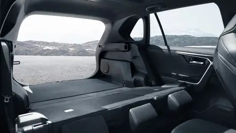 Toyota RAV4 Hybrid 2019 Toyota RAV4 Hybrid 2019
