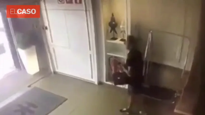 El ladrón con el bolso robado. El ladrón con el bolso robado.