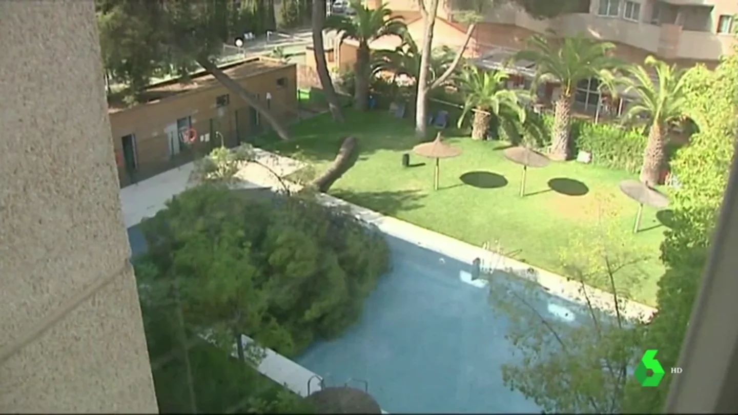 Un socorrista logra sacar a todos los bañistas de una piscina antes de que un árbol cayera sobre ellos Un socorrista logra sacar a todos los bañistas de una piscina antes de que un árbol cayera sobre ellos