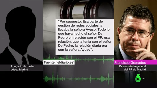 Granados reaparece para exculpar a Díaz Ayuso en la trama Púnica: "No decidía nada de nada" Granados reaparece para exculpar a Díaz Ayuso en la trama Púnica: "No decidía nada de nada"