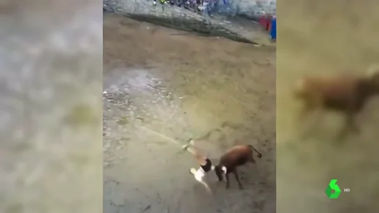 COGIDA ALGORTA COGIDA ALGORTA