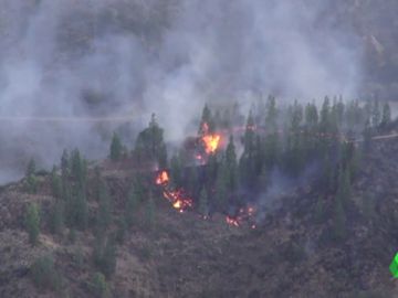 Estabilizados los dos incendios de Gran Canaria: los desalojados vuelven a sus casas