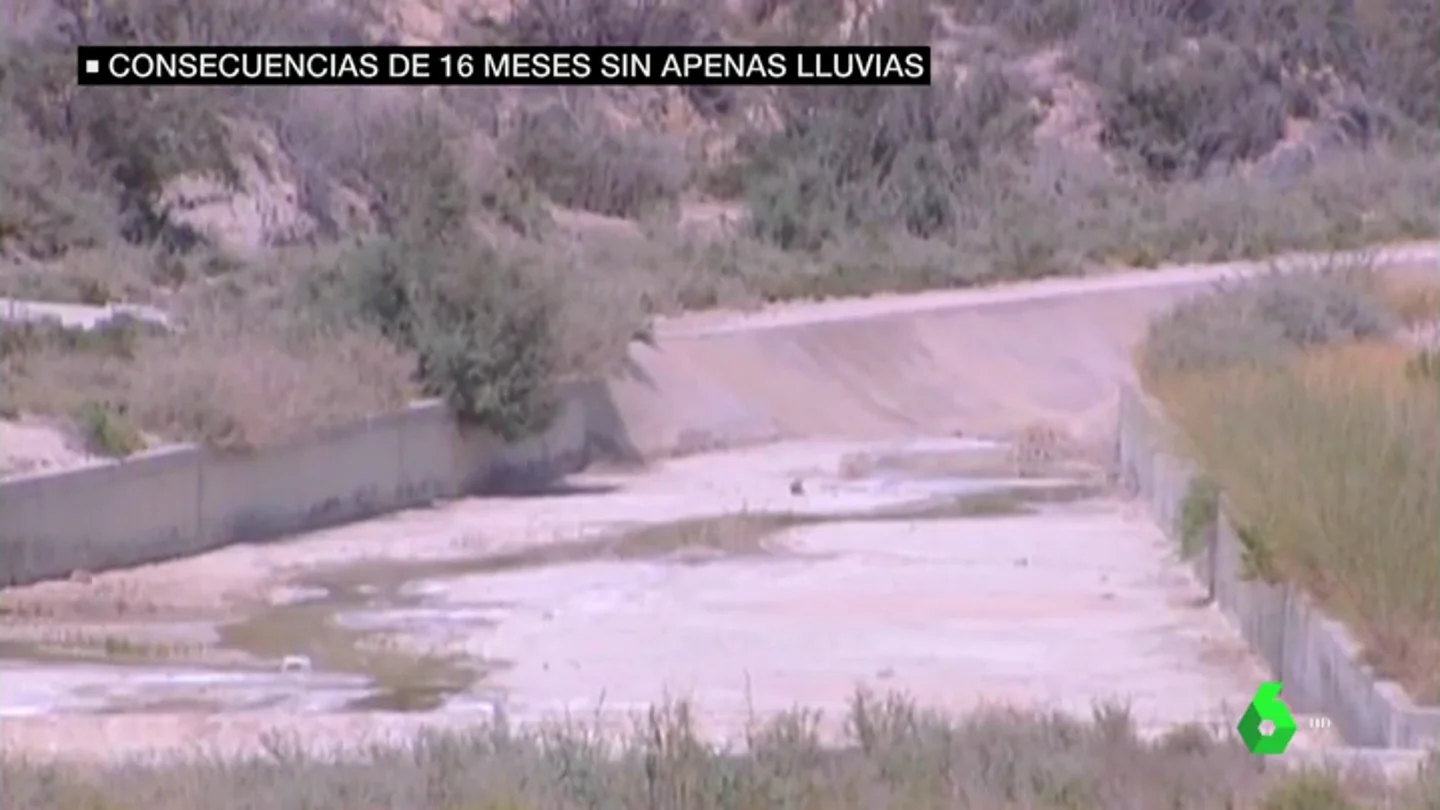 Embalses sin agua, animales sin comida y cultivos afectados: estas son las consecuencias de 16 meses de sequía Embalses sin agua, animales sin comida y cultivos afectados: estas son las consecuencias de 16 meses de sequía