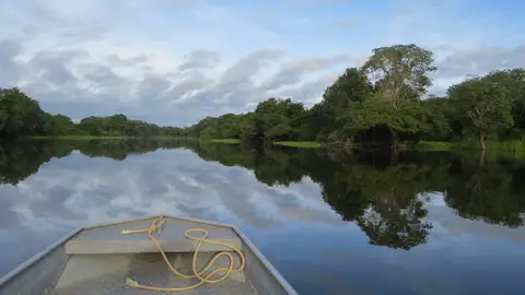 Amazonas Amazonas