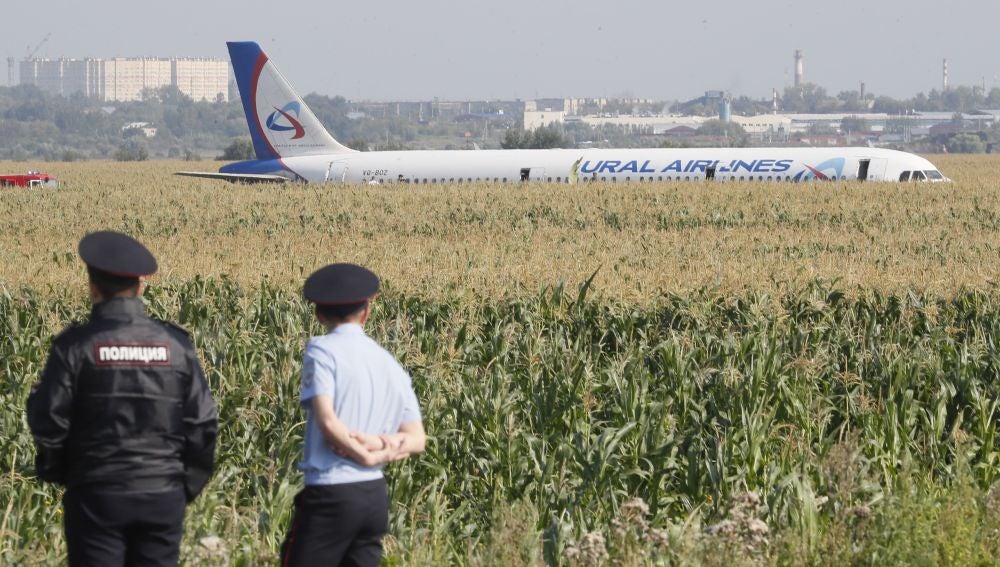 Resultado de imagen para AviÃ³n con mÃ¡s de 200 personas aterriza en campo de maÃ­z en Rusia