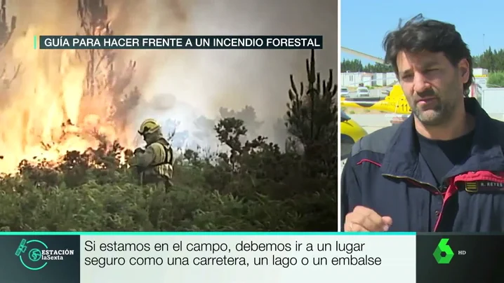 guia incendio forestal