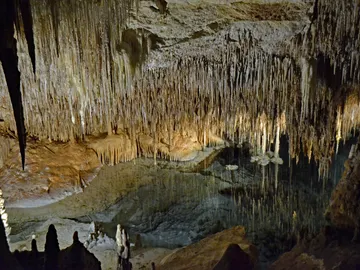 Cuevas del Drach Cuevas del Drach