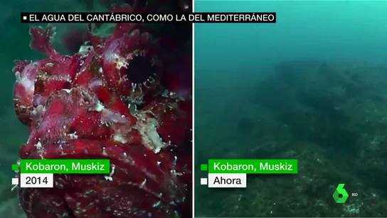 El agua del Cantábrico, a la misma temperatura que la del Mediterráneo El agua del Cantábrico, a la misma temperatura que la del Mediterráneo